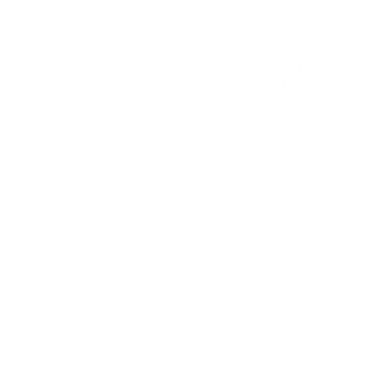 Twitter/X social media icon